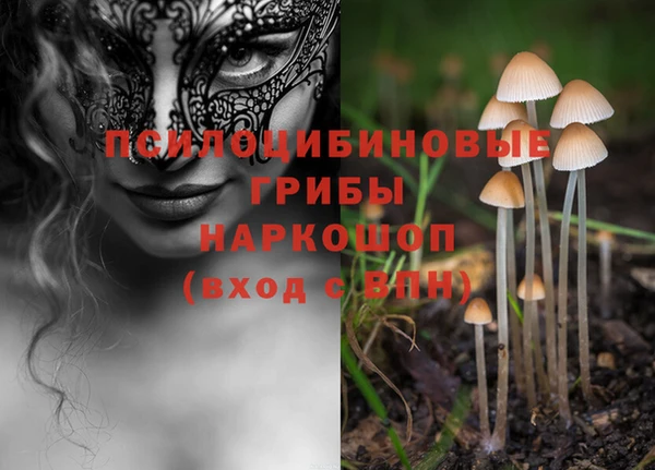 марки lsd Ростов