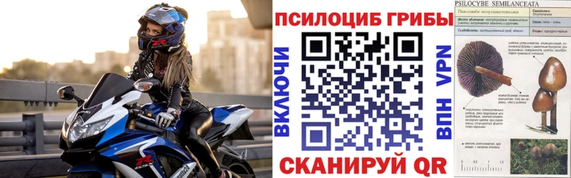 Галлюциногенные грибы Cubensis Купить Горячеводский